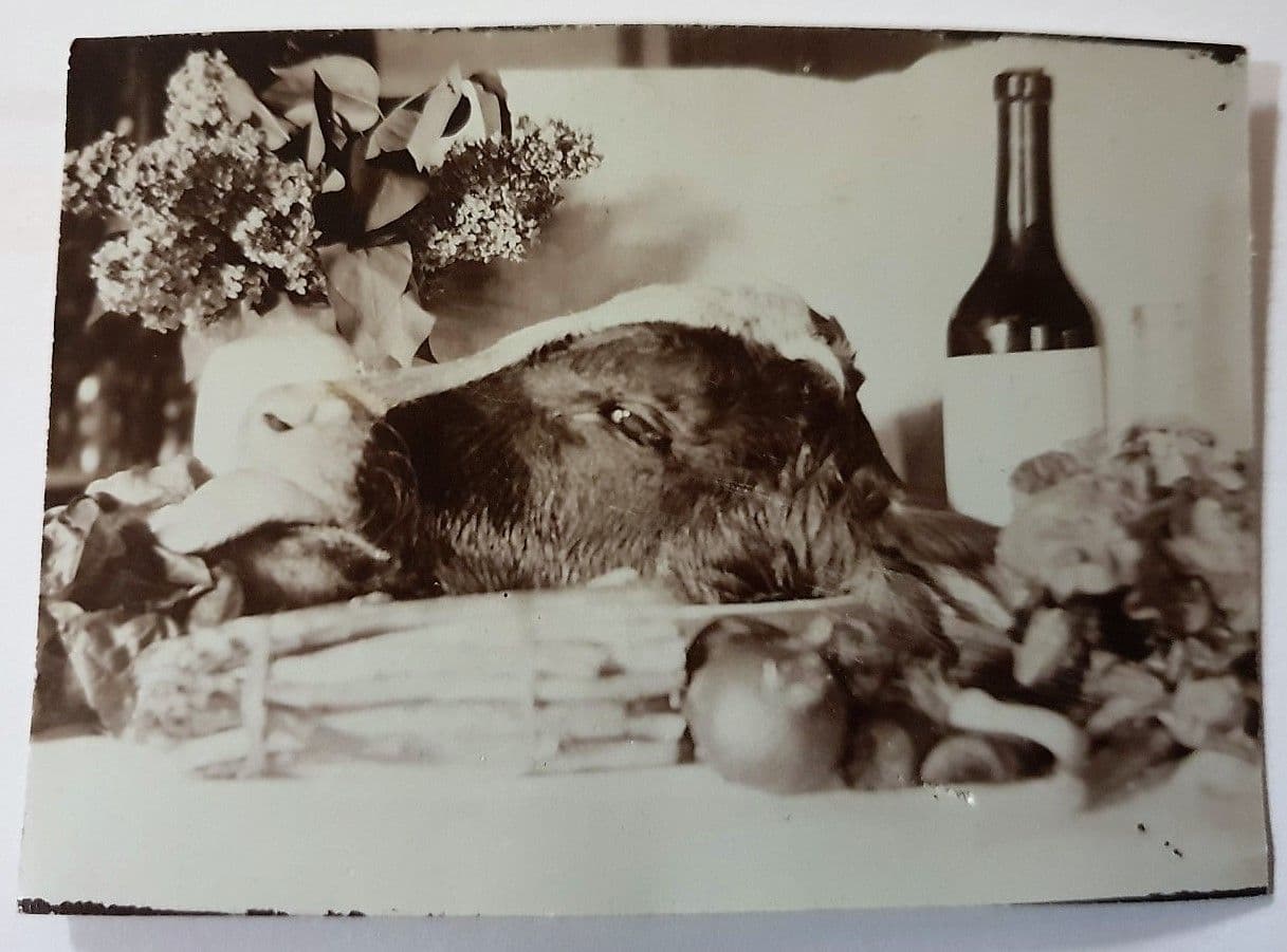 20190209_215958-1080x1440